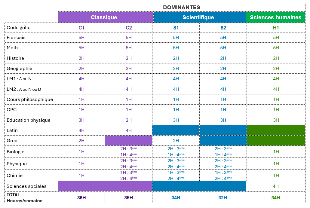 Options D2 synoptique